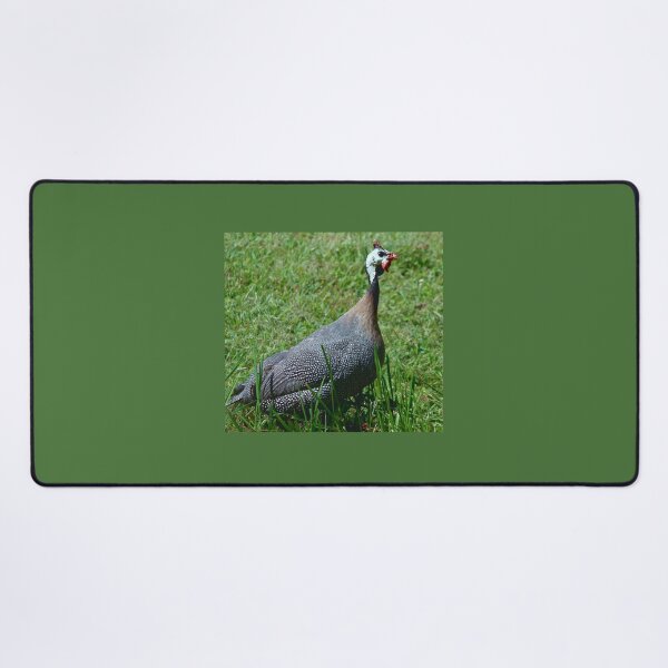 Item preview, Guinea hen designed and sold by chstudios.
