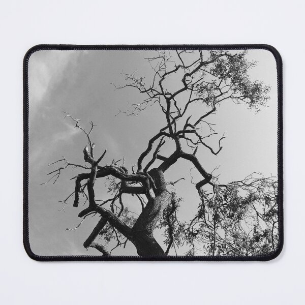 Item preview, Old Spooky Bare Tree Branches designed and sold by Anna Lemos.