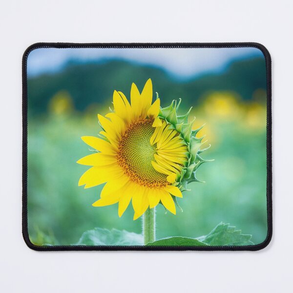 Item preview, Blooming Sunflower designed and sold by Lisa Herigon.