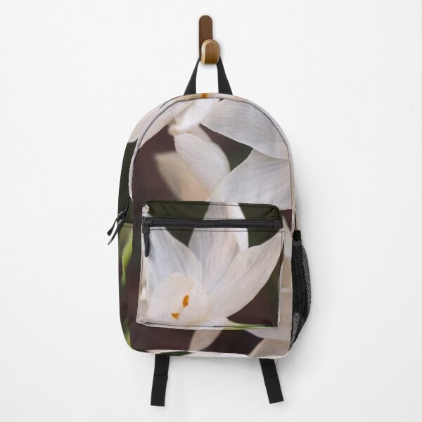 Item preview, Paperwhites 2015 designed and sold by Douglas E. Welch Design and Photography.