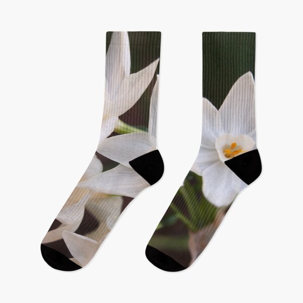 Item preview, Paperwhites 2015 designed and sold by Douglas E. Welch Design and Photography.