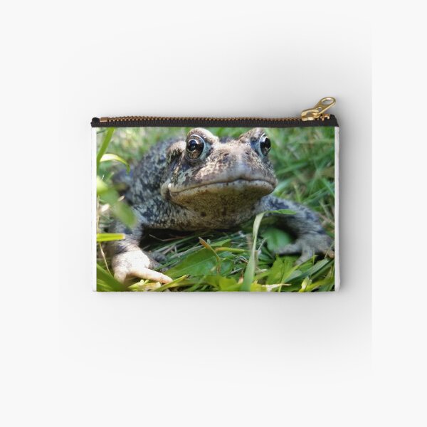Item preview, Toad in the grass designed and sold by Tomfrost242.