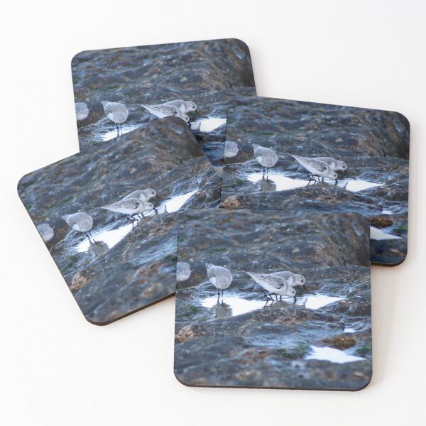 Item preview, Sandpipers Birds feeding Rock Tide Pool Seashore designed and sold by Anna Lemos.