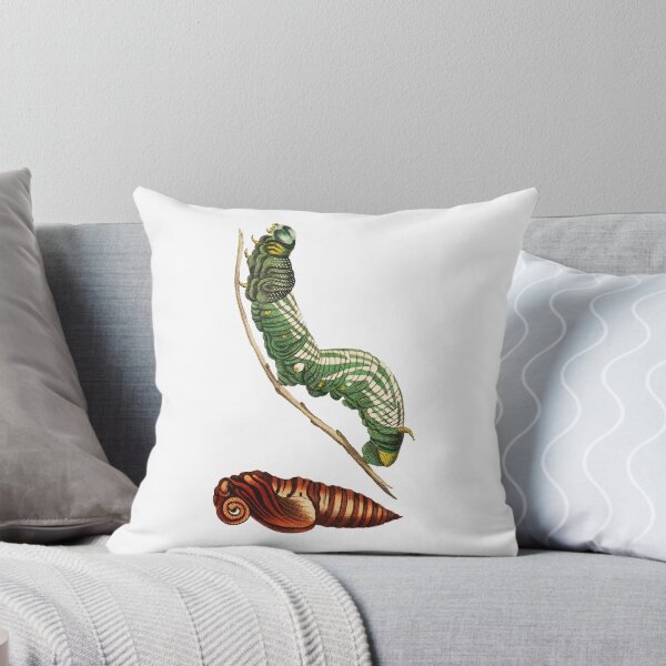 Aperçu de l'œuvre Sphinx papillon et nymphe créée et vendue par WeFLVintage.
