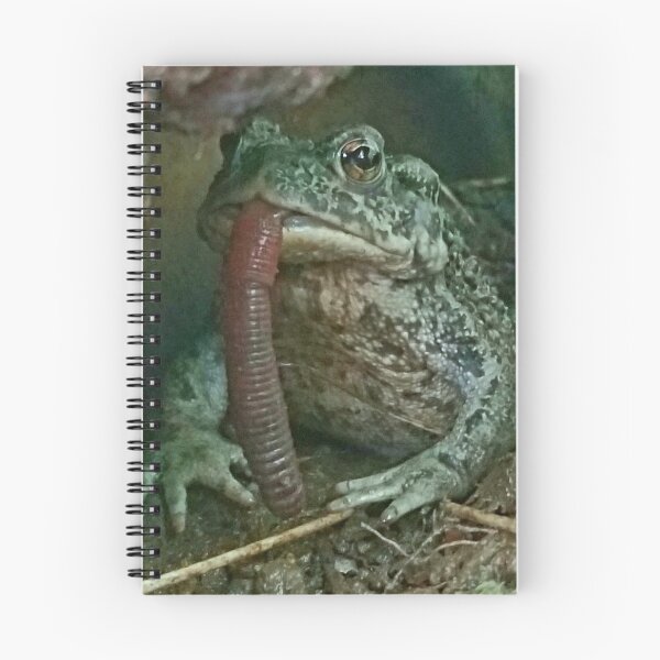 Item preview, Toad eating earthworm designed and sold by Tomfrost242.
