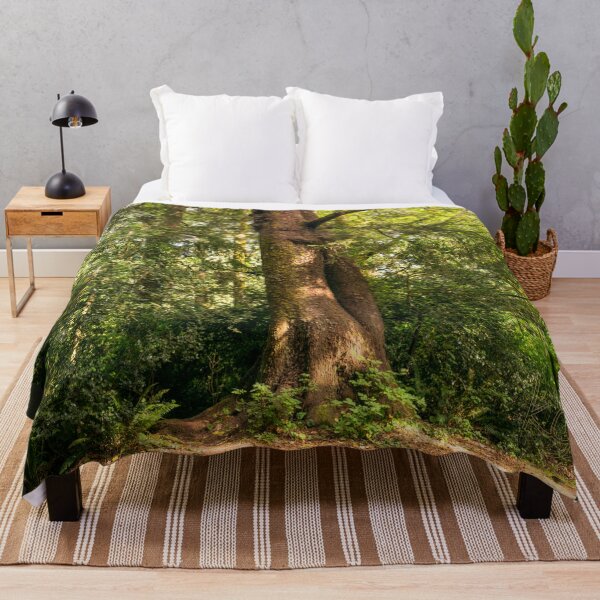Item preview, Tall Cedar Tree in Fort Stevens State Park, Oregon  designed and sold by Karen Granoski.