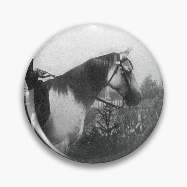 Item preview, Robert E Lee and His horse Travel designed and sold by beachcamper.