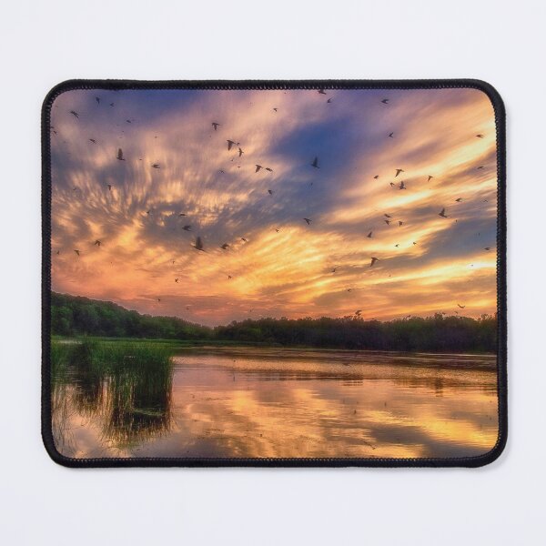 Item preview, Coming in to Roost at Presque Isle State Park - Erie, PA designed and sold by Kathy Weaver.