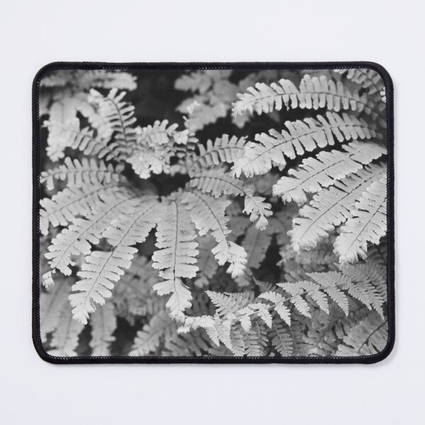 Item preview, Forest Ferns designed and sold by ztrnorge.