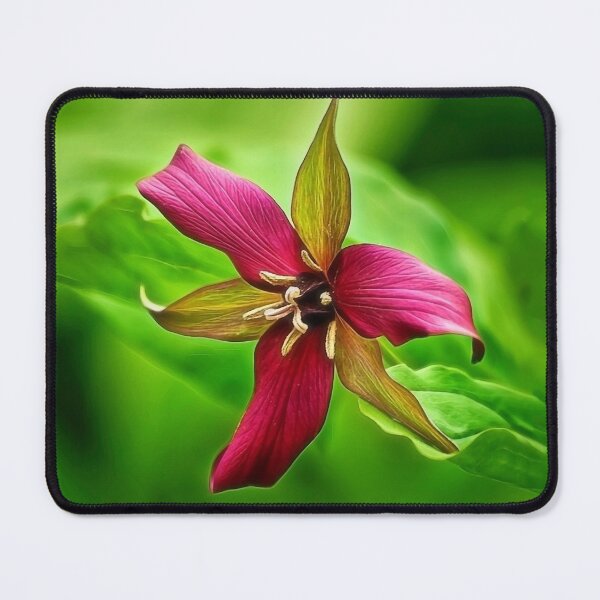 Item preview, Spring Trillium designed and sold by Kathy Weaver.