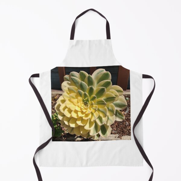 Item preview, Echeveria designed and sold by zmanchronicles.
