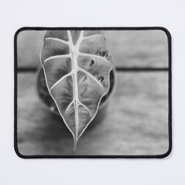 Item preview, Alocasia Polly designed and sold by ztrnorge.