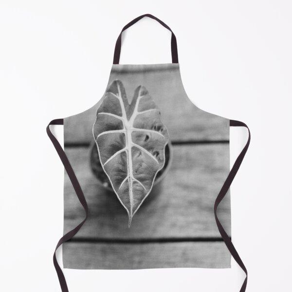 Item preview, Alocasia Polly designed and sold by ztrnorge.