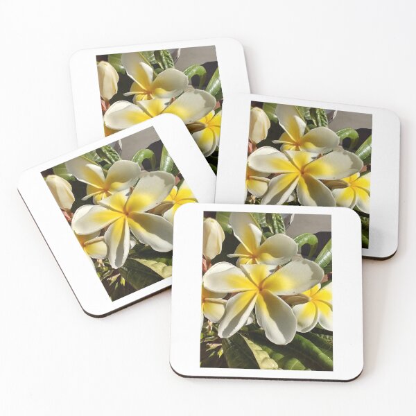 Item preview, Plumeria alba designed and sold by zmanchronicles.