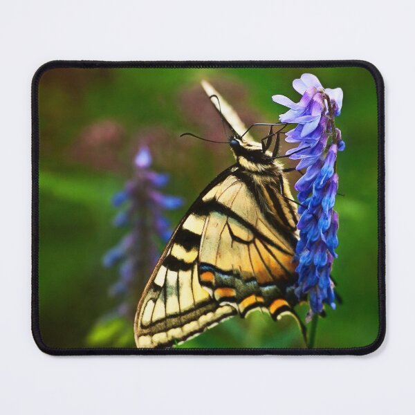 Item preview, Swallowtail on Blue designed and sold by Kathy Weaver.