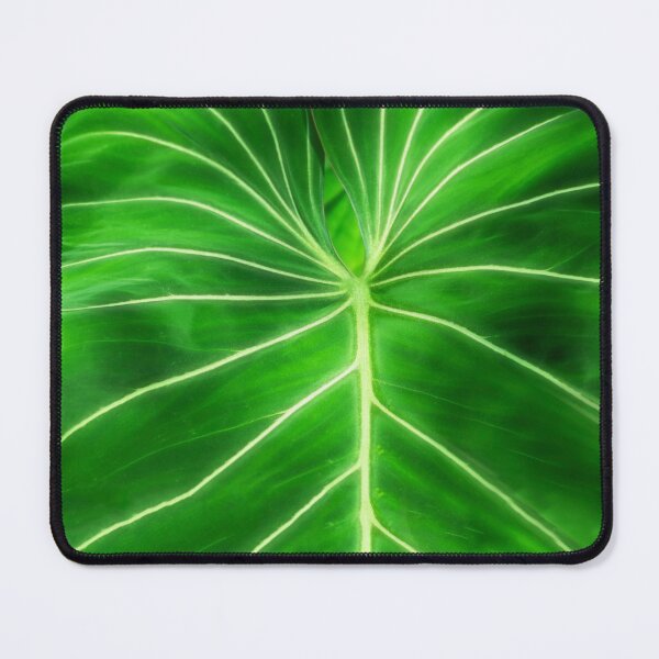 Item preview, Veins and Leaf designed and sold by Kathy Weaver.