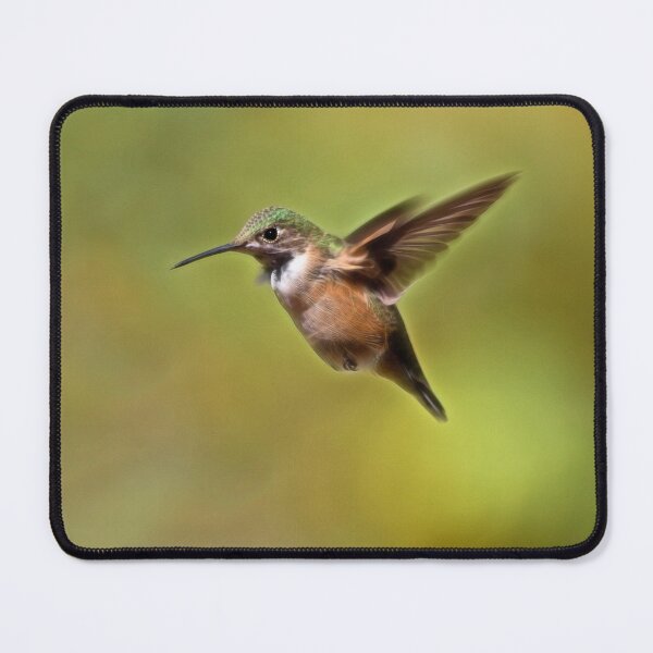 Item preview, Rufous Hummingbird designed and sold by Kathy Weaver.