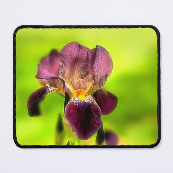 Item preview, The Iris designed and sold by Kathy Weaver.