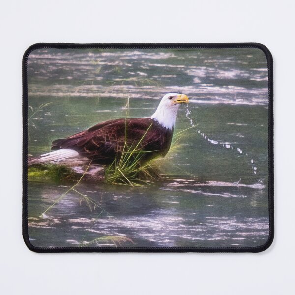 Item preview, Eagle at the River - Haines, Alaska designed and sold by Kathy Weaver.