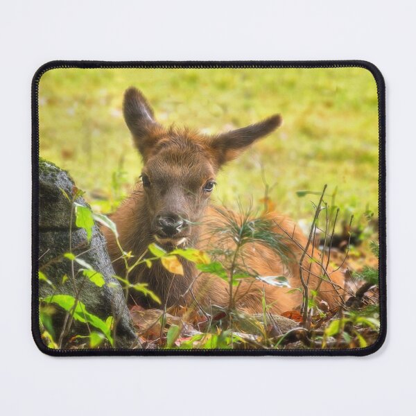 Item preview, Young Elk designed and sold by Kathy Weaver.