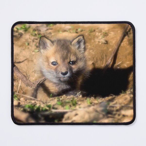 Item preview, Fox Kit designed and sold by Kathy Weaver.