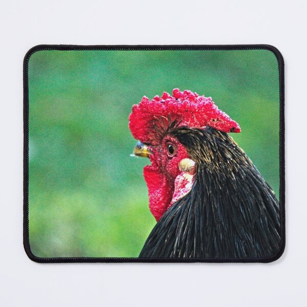 Item preview, Black Rooster Chicken Bird Face Closeup designed and sold by worldways.
