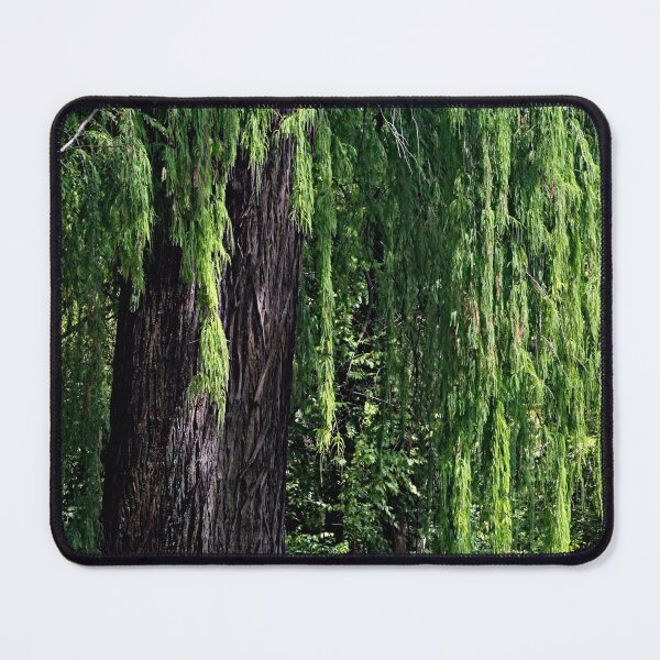 Item preview, Old Weeping Willow Tree Forest designed and sold by worldways.