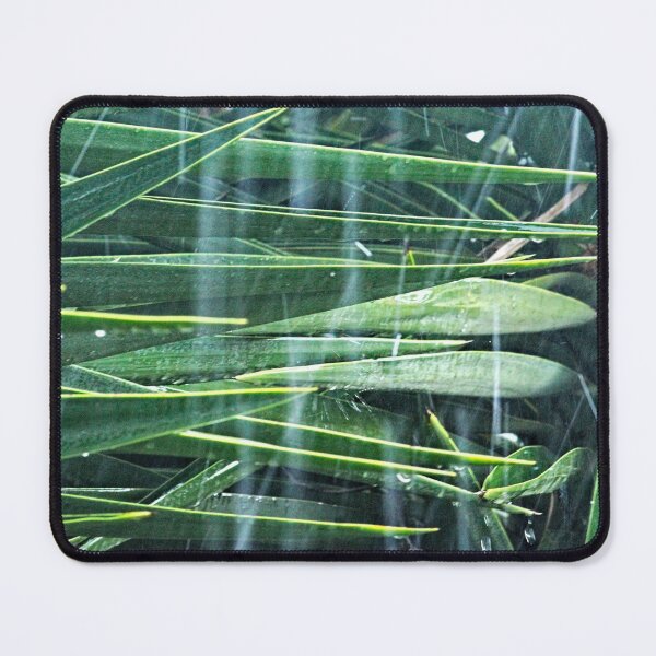 Item preview, Tropical Rain Yucca Tree Leaves designed and sold by worldways.