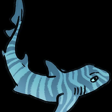 Artwork thumbnail, Zebra Bullhead Shark by RaspberryMoon