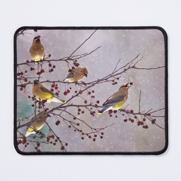 Item preview, Bring on Spring! designed and sold by Kathy Weaver.