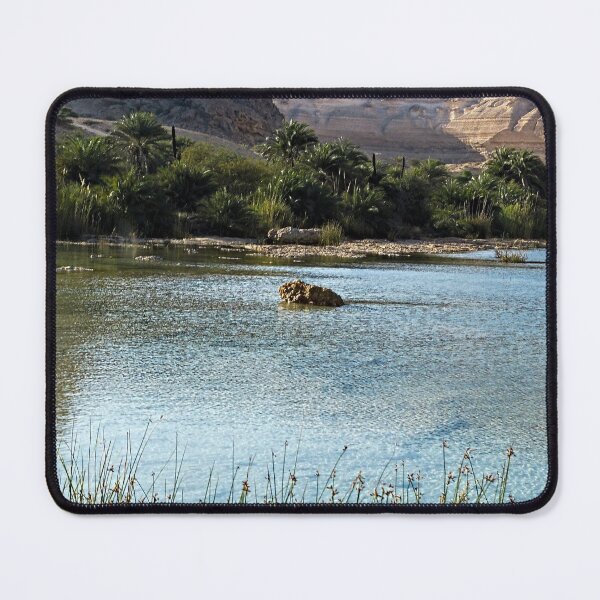 Item preview, Lake Desert Oasis Palm Trees Landscape, Oman designed and sold by worldways.