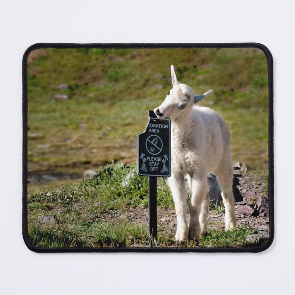 Item preview, Please Don't Eat the Sign - Glacier National Park, Montana designed and sold by Kathy Weaver.