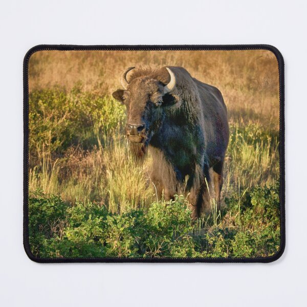 Item preview, Bison - National Bison Range, Montana designed and sold by Kathy Weaver.