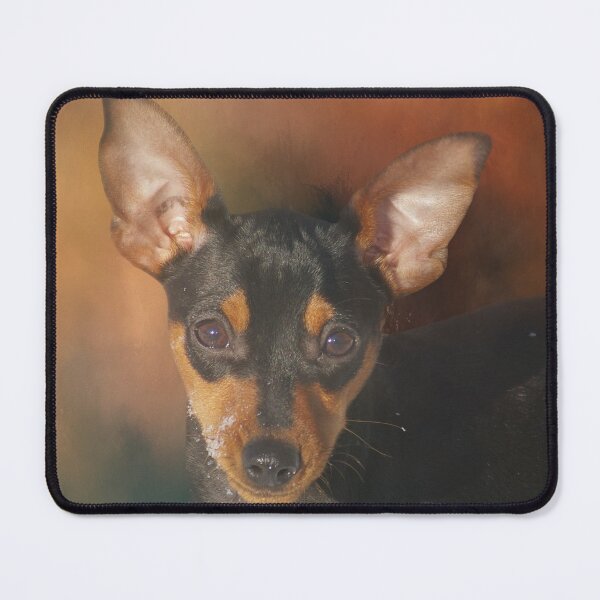 Item preview, Black and Brown Miniature Pinscher designed and sold by Elisabeth Lucas.