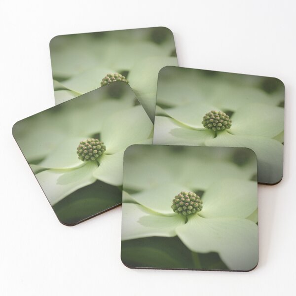 Item preview, Cornus Kousa Dogwood designed and sold by Poete100.