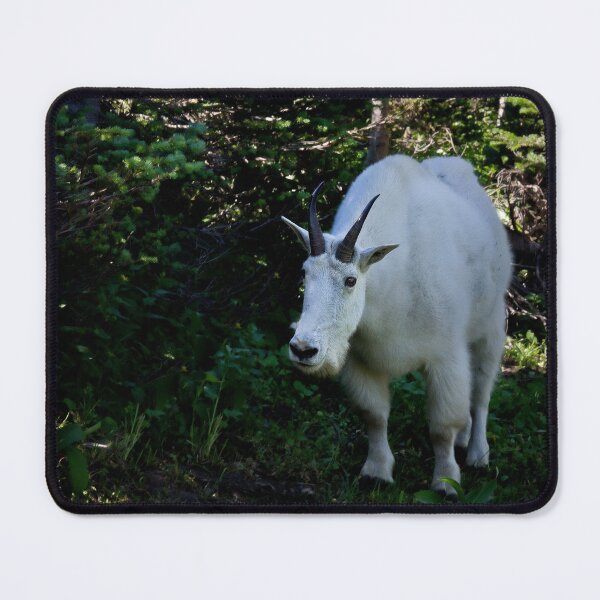 Item preview, Mountain Goat - Glacier National Park designed and sold by Kathy Weaver.