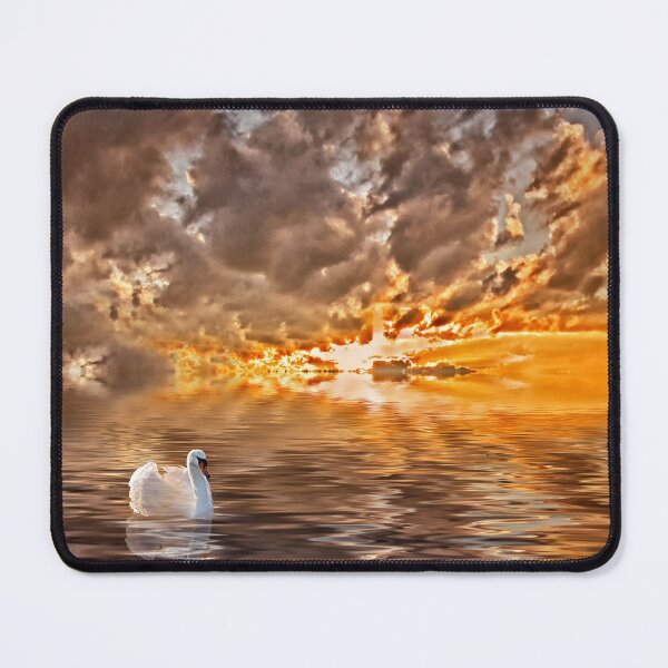 Item preview, Swan at Sunrise designed and sold by Kathy Weaver.