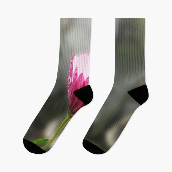 Item preview, African Daisy Flower Opening its Petals designed and sold by Anna Lemos.
