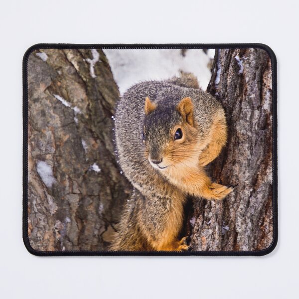 Item preview, Wary Squirrel designed and sold by Kathy Weaver.