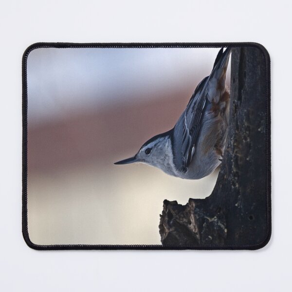 Item preview, White-breasted Nuthatch designed and sold by Kathy Weaver.