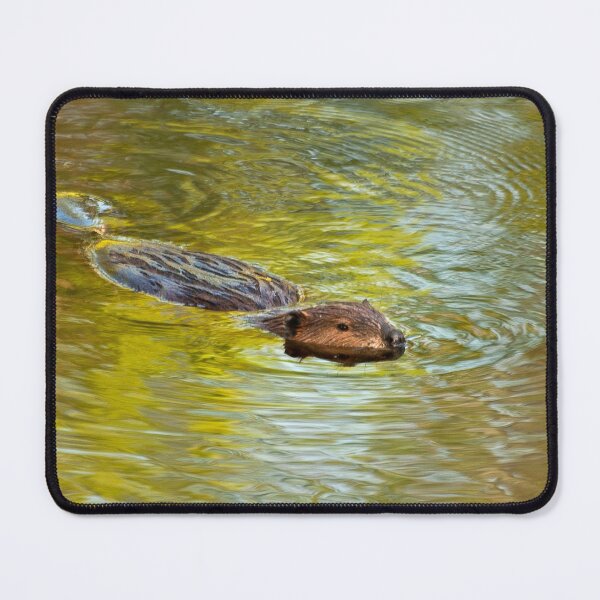 Item preview, Busy Beaver designed and sold by Kathy Weaver.
