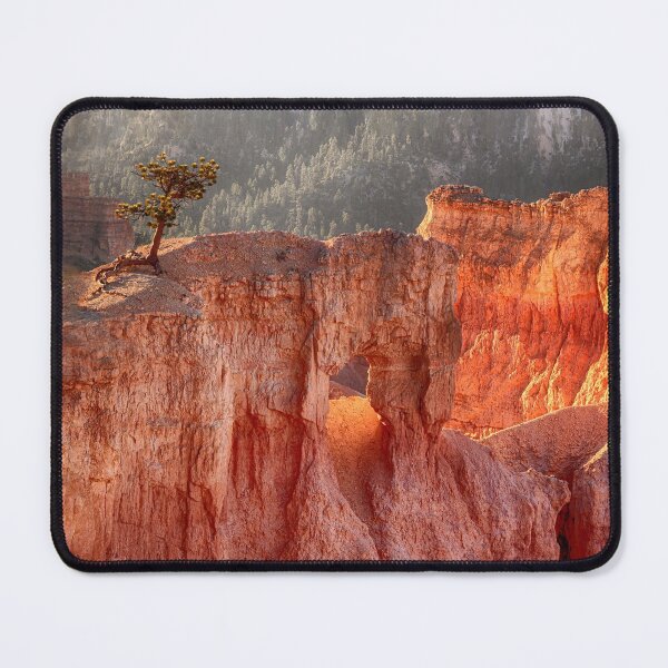 Item preview, Tenacity - Bryce Canyon National Park, Utah designed and sold by Kathy Weaver.