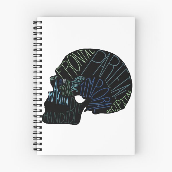 Item preview, Labeled Skull In Black designed and sold by ajohnson1411.