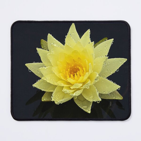 Item preview, Rain Drenched Lily designed and sold by Kathy Weaver.