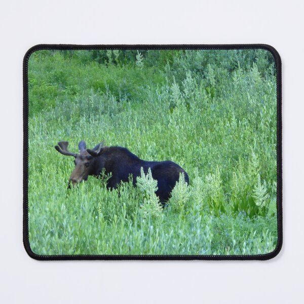 Item preview, Alpine Moose in Summer designed and sold by LeRoyM.