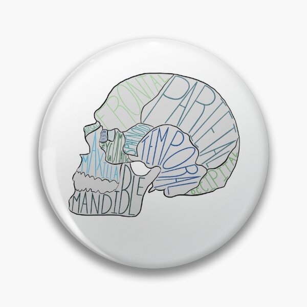 Item preview, Labeled Skull In White designed and sold by ajohnson1411.