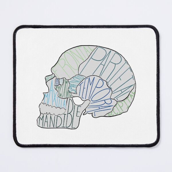 Item preview, Labeled Skull In White designed and sold by ajohnson1411.