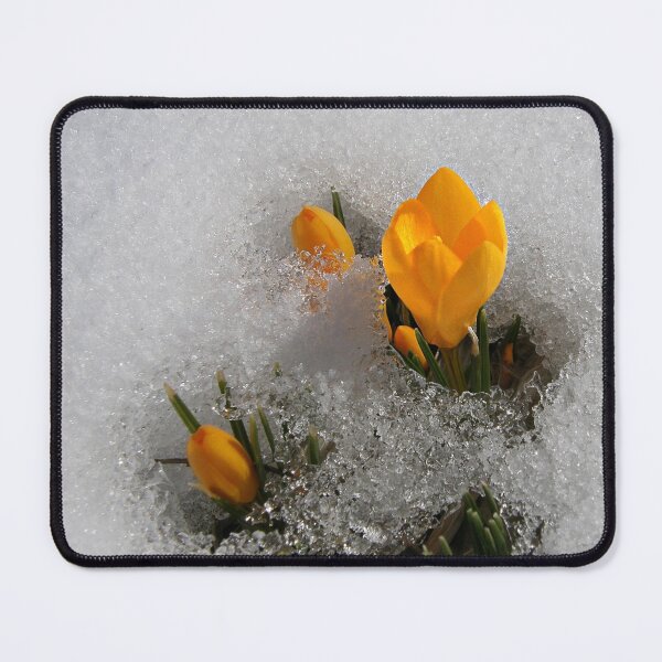 Item preview, Peeking Through the Snow designed and sold by Kathy Weaver.