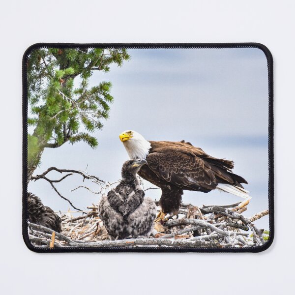 Item preview, Pose for the Human designed and sold by ImagesByMiranda.