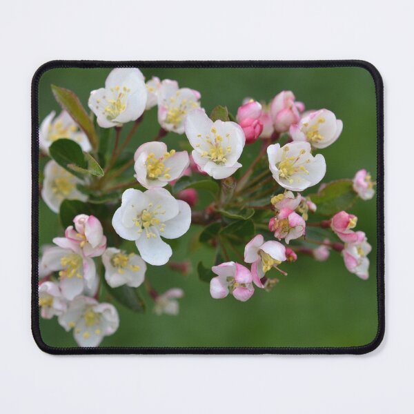Item preview, Early Spring Blossoms designed and sold by Kathleen Brant.